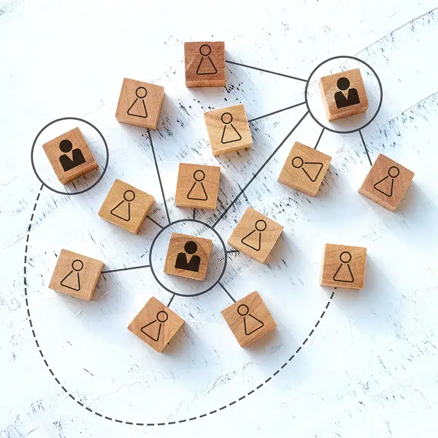 Featured image for “Decoding Business Structures:”